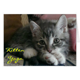 Kitten Yoga (Carte Cheer) - Enveloppe incluse