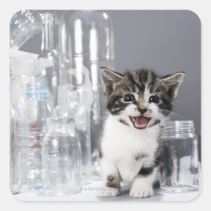 Kitten zwischen gerecycelt Flaschen und Gläsern Quadratischer Aufkleber