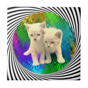 KITTENS FLIESE