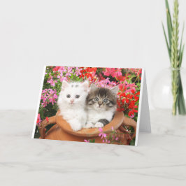 Kittens in a pot. karte