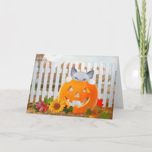 Kitten's Pumpkin Playtime Grußkarte Karte (Vorderseite)