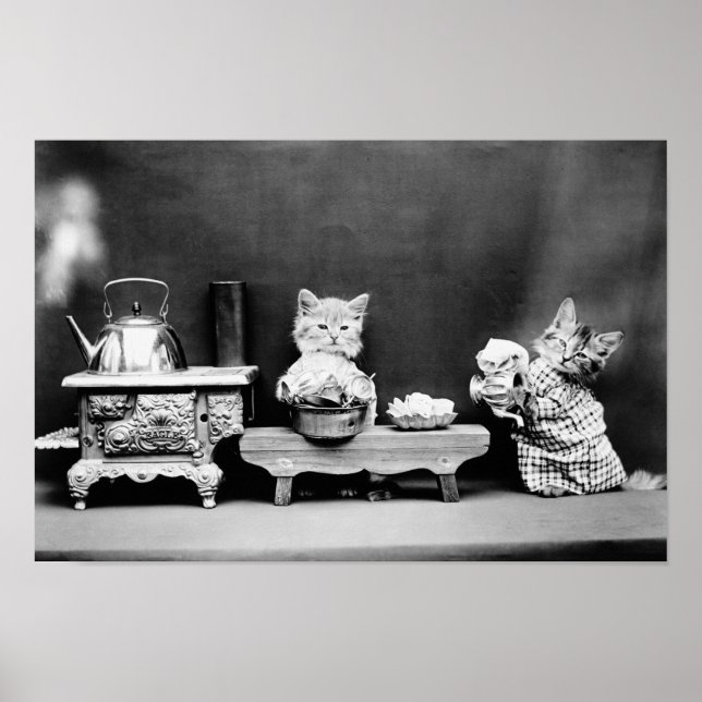 Kittens Washing Geschirr - Harry Whittier Frees -  Poster (Vorne)