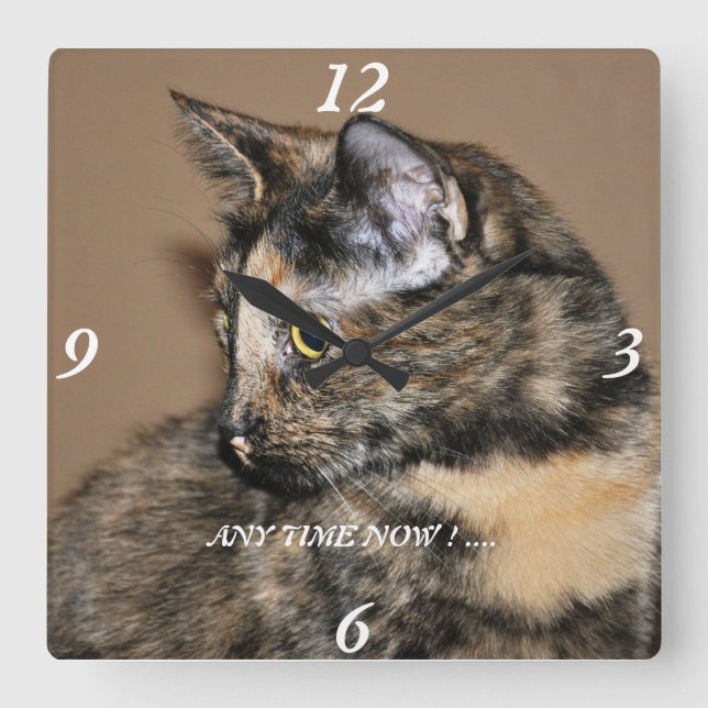 Kitties Any Time Now Wall Clock ! Quadratische Wanduhr (Vorderseite)