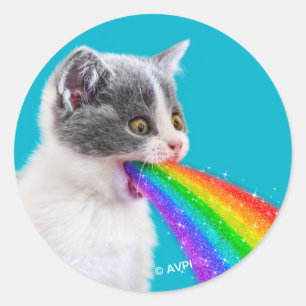 Kitts Spits Up Rainbow Runder Aufkleber