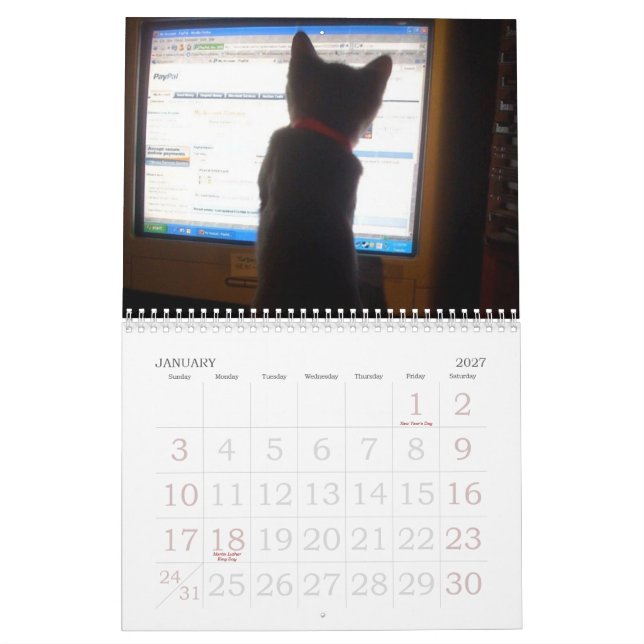 kittty Kalender (Jan 2027)