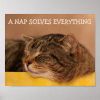 Kitty Advice Inspiration