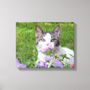 Kitty and Pink Petunias Leinwanddruck