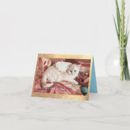 Kitty Angel for Christmas Dankeskarte