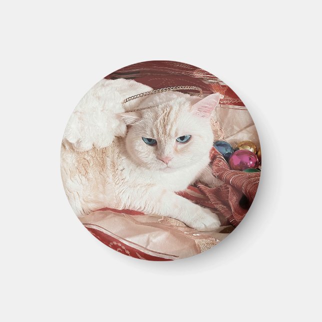 Kitty Angel zu Weihnachten Magnet (Vorne)