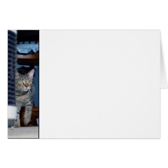 Kitty auf der Kugel (Vorderseite (Horizontal))