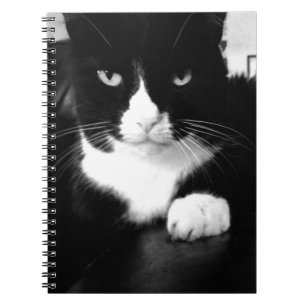 Kitty Bad Attitude - Impress Me - Notebook Notizblock