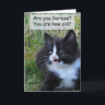 Kitty Birthday Card - Funny!! Karte<br><div class="desc">Dieses kleine Kätzchen war so niedlich! Er schrie nur: "Du bist wie alt?" Fügen Sie Ihren eigenen Vers hinzu, um diese Karte besonders zu machen. Diese Karte sieht in einem 12x18 fantastisch aus! Wenn Sie dieses Bild auf einem Produkt, das nicht verfügbar ist, lass mir einfach, und ich werde es...</div>