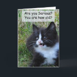 Kitty Birthday Card - Funny!! Karte<br><div class="desc">Dieses kleine Kätzchen war so niedlich! Er schrie nur: "Du bist wie alt?" Fügen Sie Ihren eigenen Vers hinzu, um diese Karte besonders zu machen. Diese Karte sieht in einem 12x18 fantastisch aus! Wenn Sie dieses Bild auf einem Produkt, das nicht verfügbar ist, lass mir einfach, und ich werde es...</div>