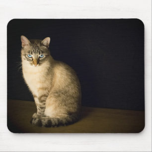 Kitty blue eyes mousepad
