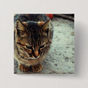 Kitty Button