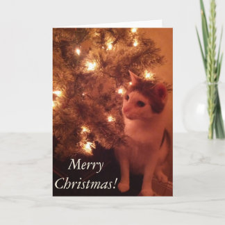 Kitty by the Christmas Tree Carte de voeux
