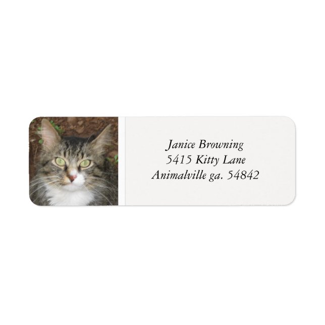 Kitty Cat Address Label (Vorne)