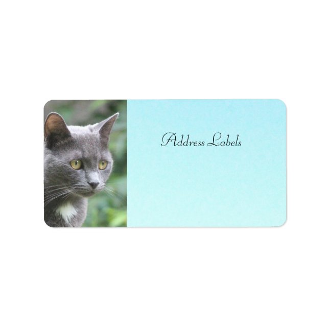 Kitty Cat Address Labels Adressaufkleber (Vorne)