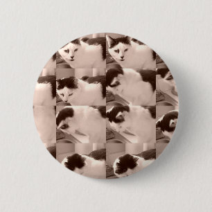 Kitty Cat/Black & White Foto Button
