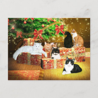 Kitty Cat Christmas Feiertagspostkarte
