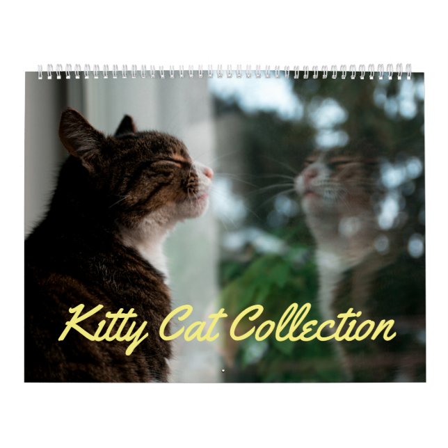 Kitty Cat Collection Kalender (groß) (Titelbild)