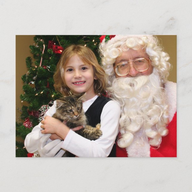 Kitty - Cat - Harmening Postkarte (Vorderseite)