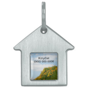 Kitty Cat ID tags Pet Tag Telefonnummer Name Tiermarke