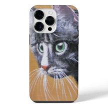 Kitty Cat