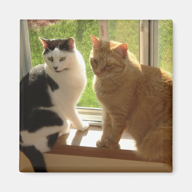 Kitty Cat Liebe Magnet (Vorne)
