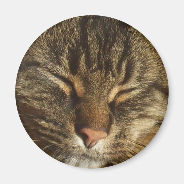 Kitty Cat Magnet (Vorne)