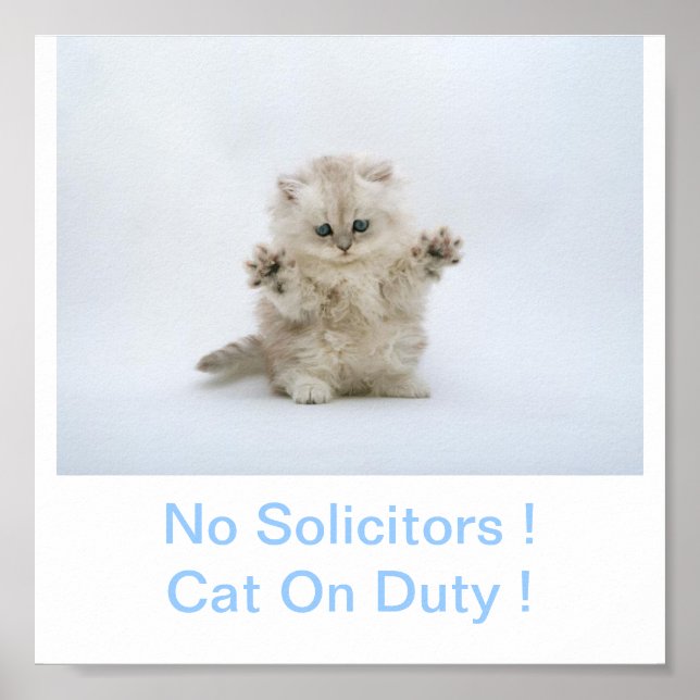 Kitty Cat No Solicitors Unterschreiben Poster (Vorne)