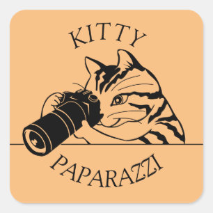 Kitty Cat Paparazzi - Fotograf Quadratischer Aufkleber
