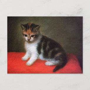 Kitty Cat Postcard: Kitten von George Stubbs Postkarte