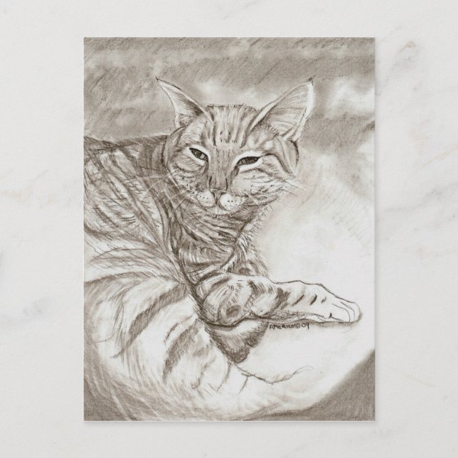 Kitty Cat Postkarte (Vorderseite)