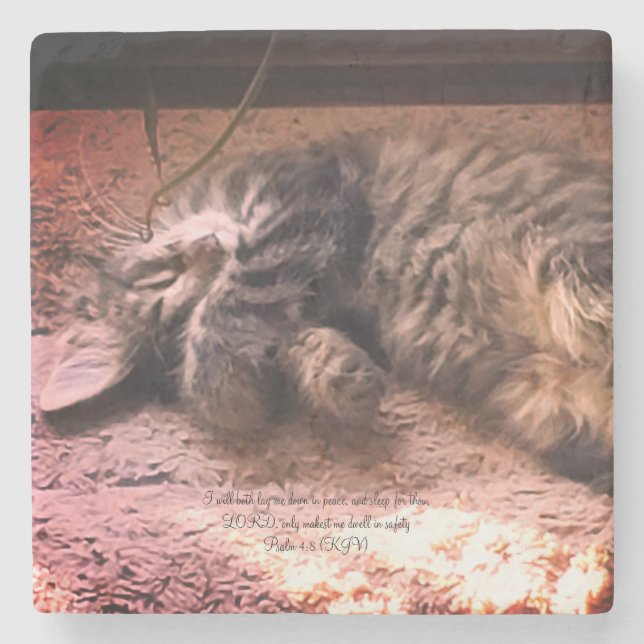 Kitty Cat Psalm 4:8 Steinuntersetzer (Vorderseite)