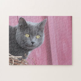 Kitty Cat Puzzle