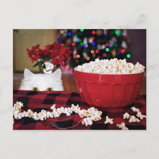 Kitty Cat Weihnachtsverlockung Postkarte