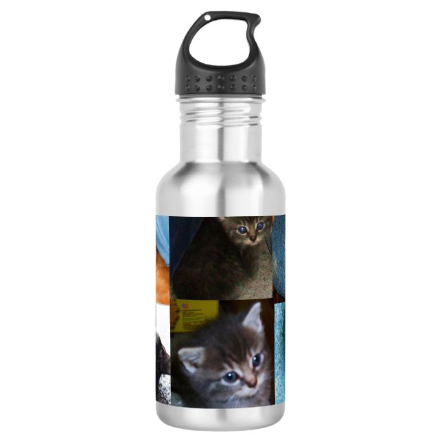 KITTY CATS juckende Edelstahlflasche (Vorderseite)