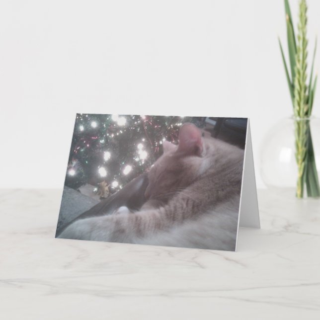 Kitty Christmas Card Feiertagskarte (Vorderseite)