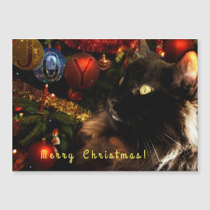 Kitty Christmas Greetings Magnetkarte