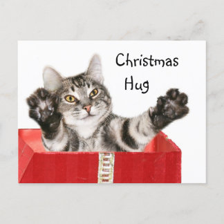 Kitty Christmas hug Feiertagspostkarte