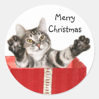 Kitty Christmas hug Runder Aufkleber