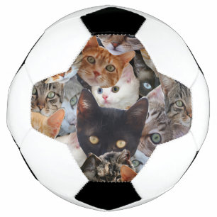 Kitty Collage Fußball
