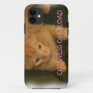 Kitty "CUTENESS OVERLOAD" iPhone 5 Fall Case-Mate iPhone Hülle