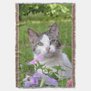 Kitty dans les fleurs lancer la couverture