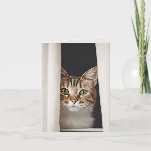 Kitty Dans Un Rideau (Devant)