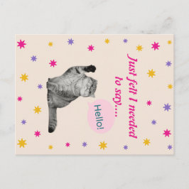 Kitty - einfach das Gefühl, ich brauche, um zu sag Postkarte