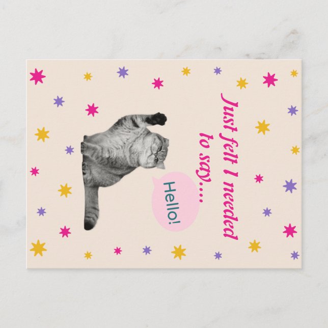 Kitty - einfach das Gefühl, ich brauche, um zu sag Postkarte (Vorderseite)