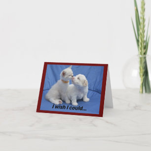Kitty Et Chiot Obtenir Bonne Carte