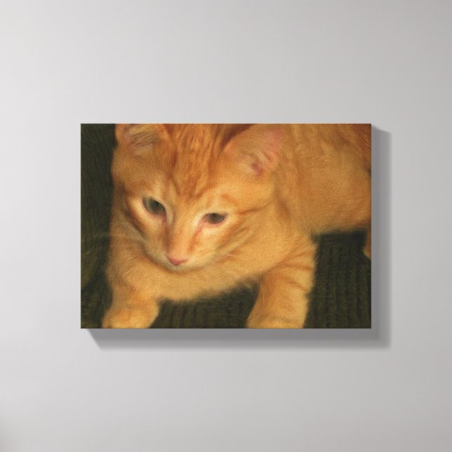 Kitty Foto auf Leinwand (Vorderseite)